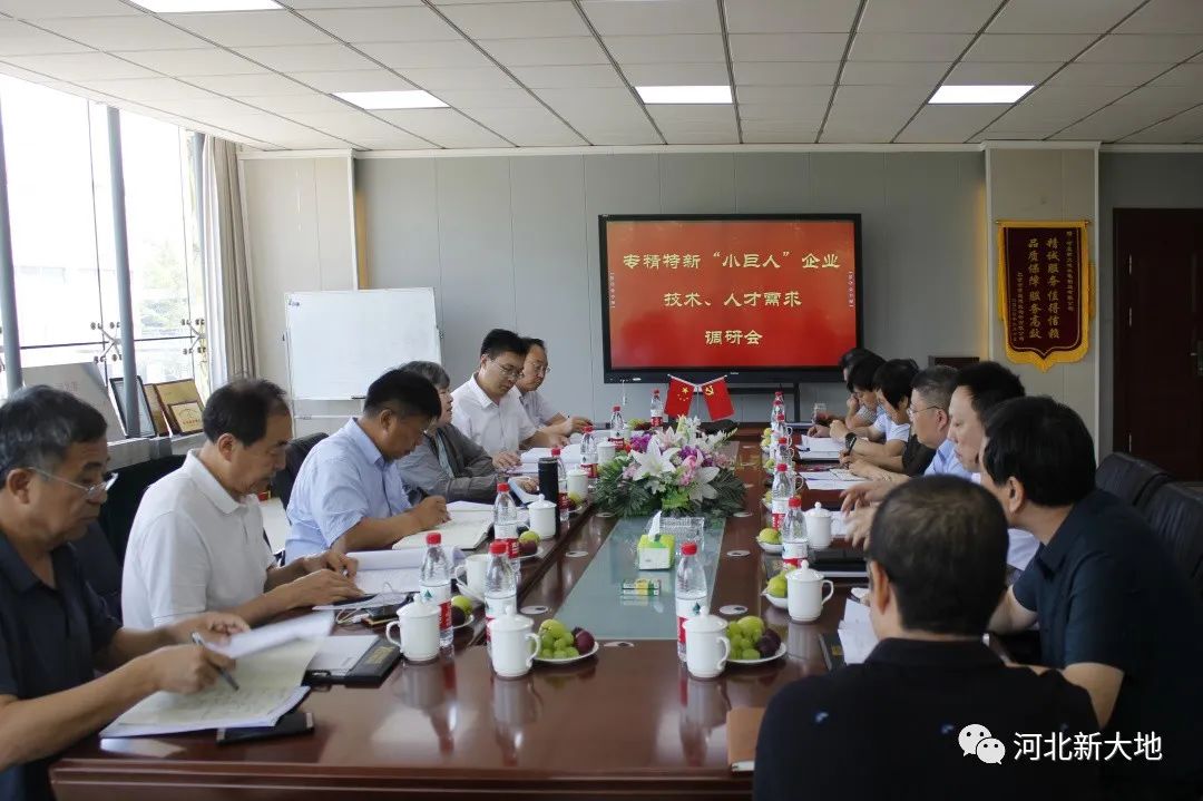 專精特新&ldquo;小巨人&rdquo;企業(yè)技術(shù)、人才需求調(diào)研組到河北新大地調(diào)研