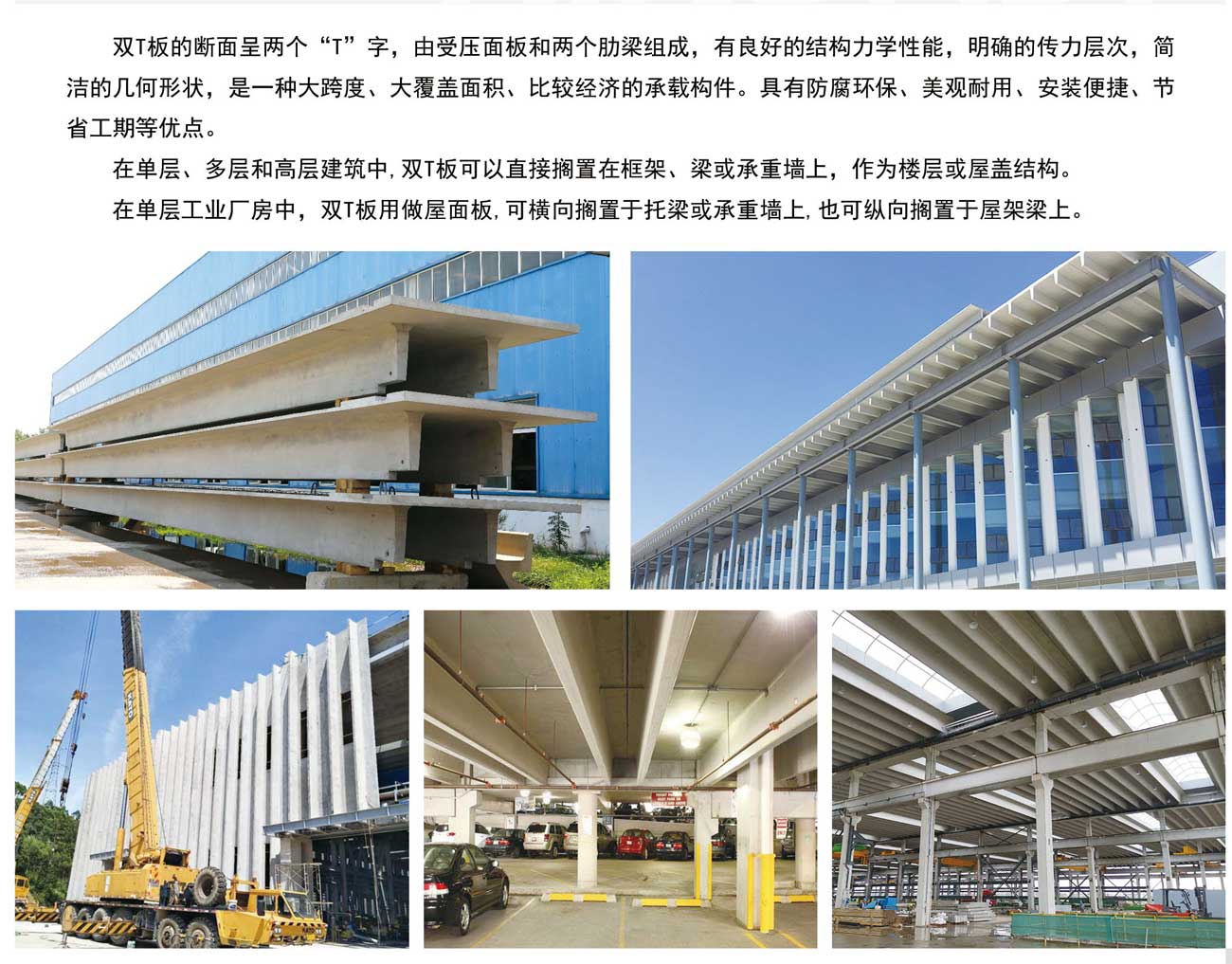 20231023169802861113.jpg 20230216167652880544.jpg